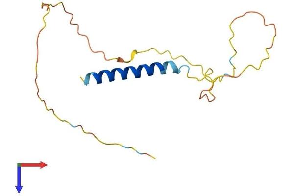 CEND1 Protein (AA 1-149) (His tag)