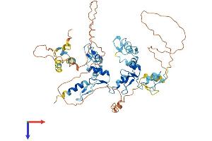 ZNF382 Protein (AA 1-550) (His tag)