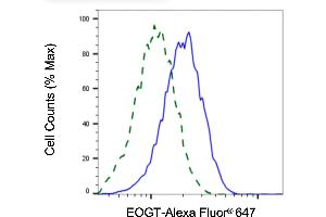 Validation of EOGT knockdown using flow cytometry. (Rekombinanter AER61 Antikörper)