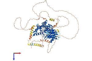 DENND1B Protein (AA 1-766) (His tag)