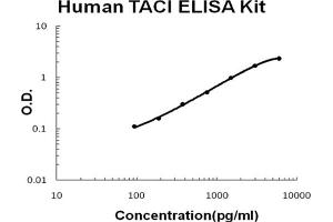 Human TNFRSF13B/TACI Accusignal ELISA Kit Human TNFRSF13B/TACI AccuSignal ELISA Kit standard curve.