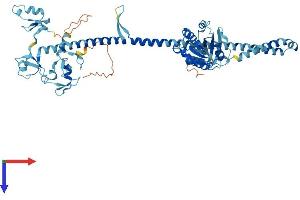 TRIM23 Protein (AA 1-574) (His tag)