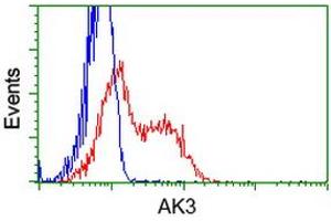 HEK293T cells transfected with either RC204408 overexpress plasmid (Red) or empty vector control plasmid (Blue) were immunostained by anti-AK3 antibody (ABIN2452715), and then analyzed by flow cytometry. (Adenylate Kinase 3 Antikörper)