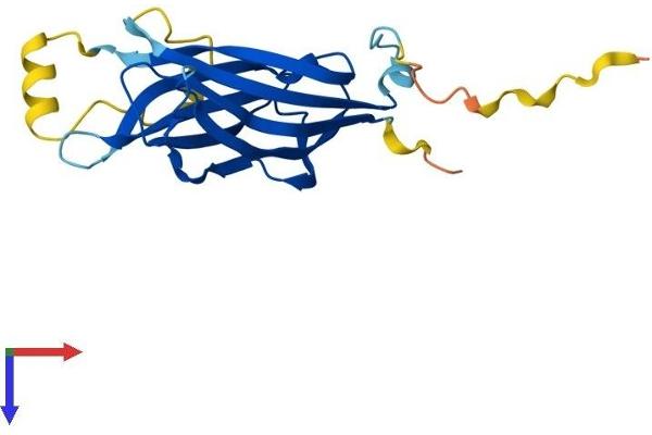 B9D1 Protein (AA 1-204) (His tag)
