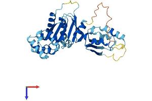 CENPN Protein (AA 1-337) (His tag)
