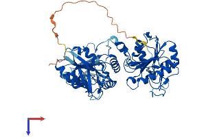 Protein Structure (PS) image for Polynucleotide Kinase 3'-Phosphatase (PNKP) (AA 1-521) protein (His tag) (ABIN7550768)