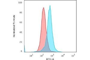 Flow Cytometric Analysis of PFA-fixed K562 cells using Calponin-1 Mouse Monoclonal Antibody (CALP ) followed by Goat anti-Mouse IgG-CF488 (Blue); Isotype Control (Red). (CNN1 Antikörper)