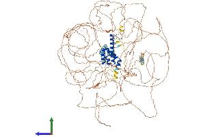 Protein Structure (PS) image for Chromosome 11 Open Reading Frame 30 (C11orf30) (AA 1-1264) protein (His tag) (ABIN7564393)