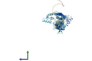 AlphaFold protein structure predicition of Human Recombinant ACTN4 Protein, UniprotID O43707