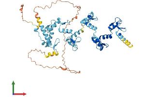AlphaFold protein structure predicition of Human Recombinant ZNF439 Protein, UniprotID Q8NDP4
