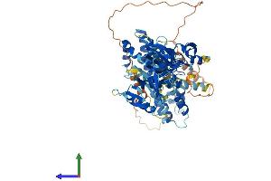 Protein Structure (PS) image for FYVE, RhoGEF and PH Domain Containing 2 (FGD2) (AA 1-655) protein (His tag) (ABIN7547701)