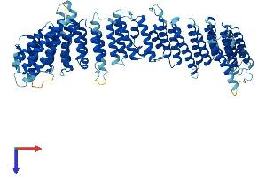 VPS35 Protein (AA 1-796) (His tag)