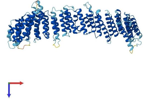 VPS35 Protein (AA 1-796) (His tag)