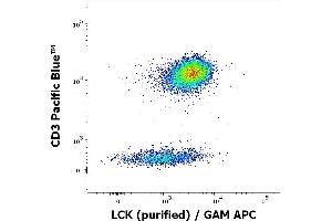 Flow cytometry multicolor intracellular staining of human peripheral whole blood stained using anti-LCK (LCK-01) purified antibody (concentration in sample 9 μg/mL, GAM APC) and anti-human CD3 (UCHT1) Pacific Blue antibody (20 μL reagent / 100 μL of peripheral whole blood).