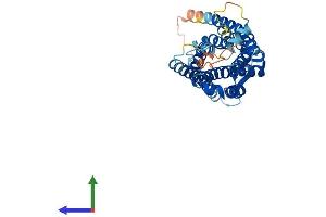 Protein Structure (PS) image for Formyl Peptide Receptor 2 (FPR2) (AA 1-351) protein (His tag) (ABIN7562622)