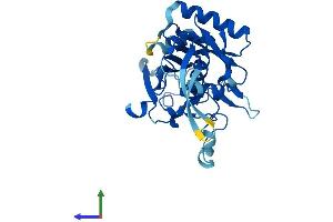 RSPH9 Protein (AA 1-276) (His tag)