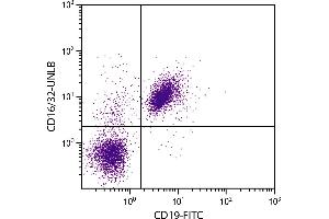 BALB/c mouse splenocytes were stained with Rat Anti-Mouse CD16/32-UNLB. (CD32/CD16 Antikörper)