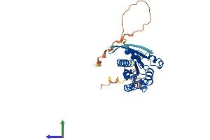 Protein Structure (PS) image for Ras Homolog Gene Family, Member U (RHOU) (AA 1-258) protein (His tag) (ABIN7551414)
