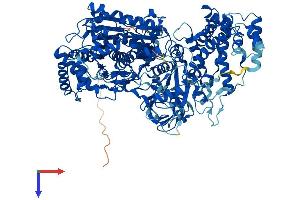 UBA6 Protein (AA 1-1052) (His tag)