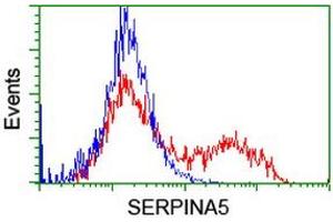Flow Cytometry (FACS) image for anti-serpin Peptidase Inhibitor, Clade A (Alpha-1 Antiproteinase, Antitrypsin), Member 5 (SERPINA5) antibody (ABIN1500054) (SERPINA5 Antikörper)