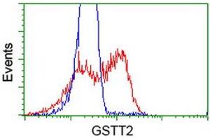 HEK293T cells transfected with either RC200040 overexpress plasmid (Red) or empty vector control plasmid (Blue) were immunostained by anti-GSTT2 antibody (ABIN2453099), and then analyzed by flow cytometry. (GSTT2 Antikörper)