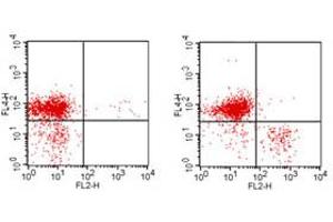 Flow Cytometry (FACS) image for anti-CD3 epsilon (CD3E) antibody (PE) (ABIN6657858)