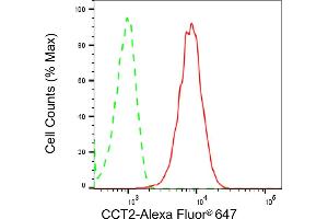 Flow cytometric analysis of CCT2 expression in HepG2 cells using CCT2 antibody (ABIN7798028), 1:2,000). (Rekombinanter CCT2 Antikörper)