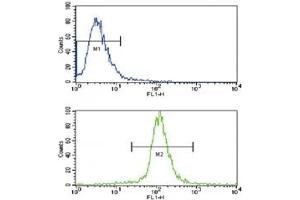 Flow Cytometry (FACS) image for anti-Caspase 3 (CASP3) (AA 60-90) antibody (ABIN3030306)