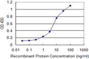 Detection limit for recombinant GST tagged CCL2 is 0. (CCL2 Antikörper  (AA 1-99))