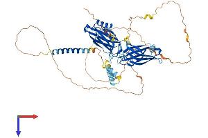 Synaptotagmin 3 Protein (AA 1-587) (His tag)