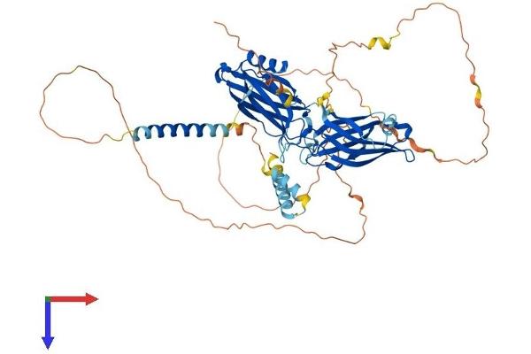 Synaptotagmin 3 Protein (AA 1-587) (His tag)
