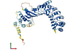 AlphaFold protein structure predicition of Human Recombinant PRAMEF8 Protein, UniprotID Q5VWM4