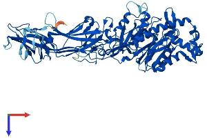 PADI1 Protein (AA 1-662) (His tag)
