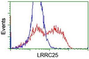 HEK293T cells transfected with either RC209911 overexpress plasmid (Red) or empty vector control plasmid (Blue) were immunostained by anti-LRRC25 antibody (ABIN2455881), and then analyzed by flow cytometry. (LRRC25 Antikörper)