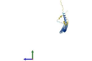 Protein Structure (PS) image for Breast Cancer Metastasis Suppressor 1 (BRMS1) (AA 1-246) protein (His tag) (ABIN7560430)