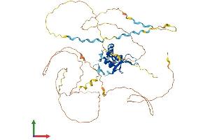 Protein Structure (PS) image for Forkhead Box G1 (FOXG1) (AA 1-489) protein (His tag) (ABIN7547710)