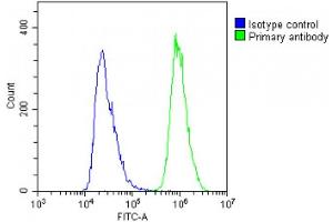 Flow Cytometry (FACS) image for anti-Transporter 2, ATP-Binding Cassette, Sub-Family B (MDR/TAP) (TAP2) (AA 100-134) antibody (ABIN6243497)