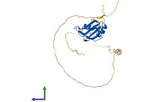 Protein Structure (PS) image for RNA Binding Motif Protein 24 (RBM24) (AA 1-236) protein (His tag) (ABIN7562105)