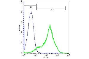 Mouse splenocytes probed with Rabbit Anti-Frizzled 10/CD350 Polyclonal Antibody (ABIN1714166) at 1:100 for 60 minutes followed by incubation with Goat Anti-Rabbit IgG FITC conjugated secondary at 1:100 (green) for 40 minutes compared to cont (FZD10 Antikörper  (AA 101-200))