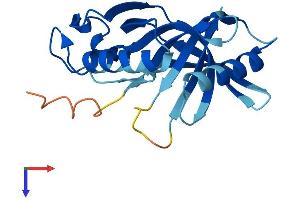 HEBP1 Protein (AA 1-189) (His tag)