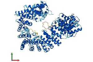 Protein Structure (PS) image for CSE1 Chromosome Segregation 1-Like (CSE1L) (AA 1-971) protein (His tag) (ABIN7556024)