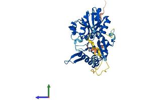 Protein Structure (PS) image for phosphoribosyl Pyrophosphate Synthetase-Associated Protein 2 (PRPSAP2) (AA 1-369) protein (His tag) (ABIN7559776)