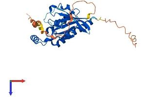 RHOU Protein (AA 1-261) (His tag)