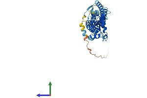 Protein Structure (PS) image for Retinal Outer Segment Membrane Protein 1 (ROM1) (AA 1-351) protein (His tag) (ABIN7551487)