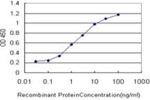 Detection limit for recombinant GST tagged MTF1 is approximately 0. (MTF1 Antikörper  (AA 41-140))