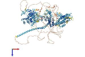 TRPM1 Protein (AA 1-1622) (His tag)
