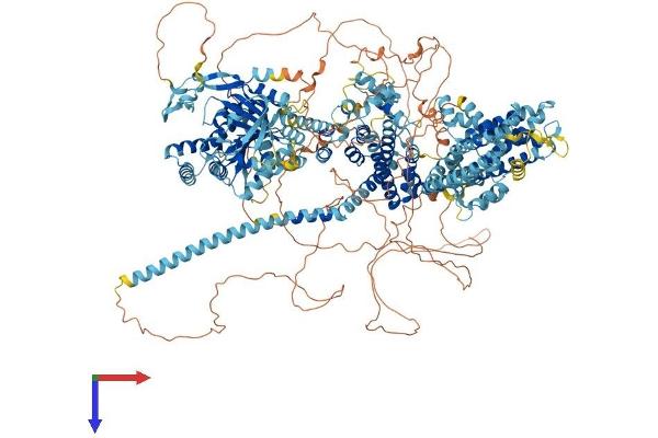 TRPM1 Protein (AA 1-1622) (His tag)