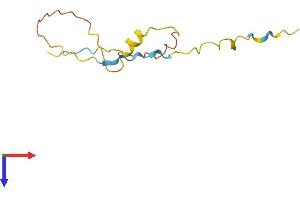 Protamine 3 (PRM3) (AA 1-103) protein (His tag)