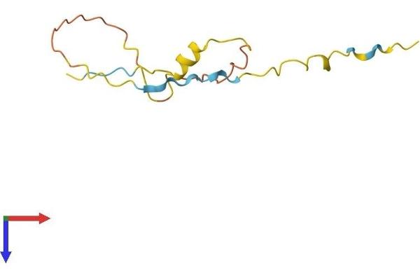 Protamine 3 (PRM3) (AA 1-103) protein (His tag)