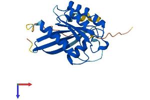 RAB1B Protein (AA 1-201) (His tag)